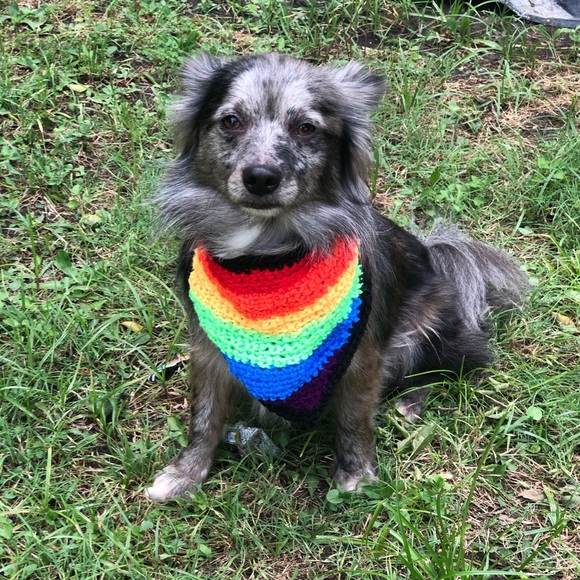 Crocheted Rainbow Bandana For Pets - Picture 5 of 5